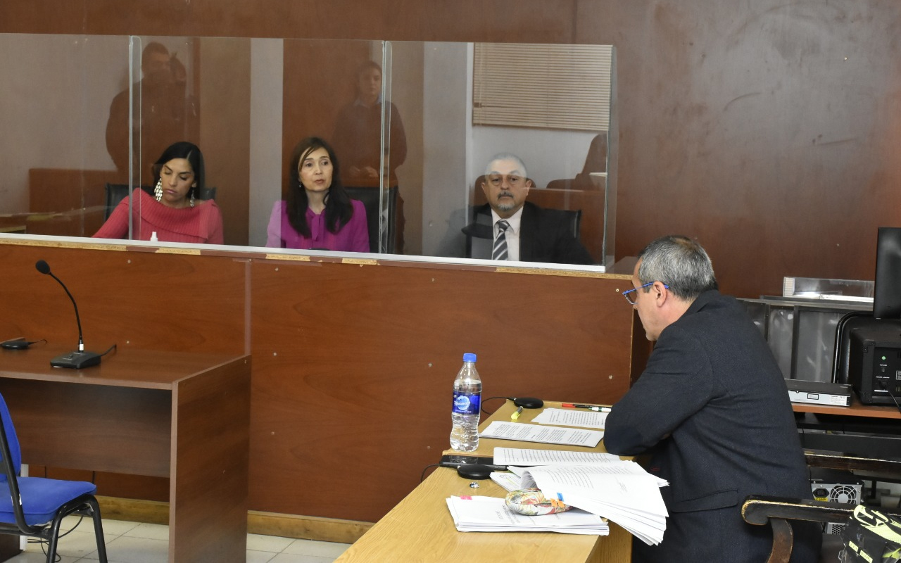 ALEGATOS JUICIO JAVIER N