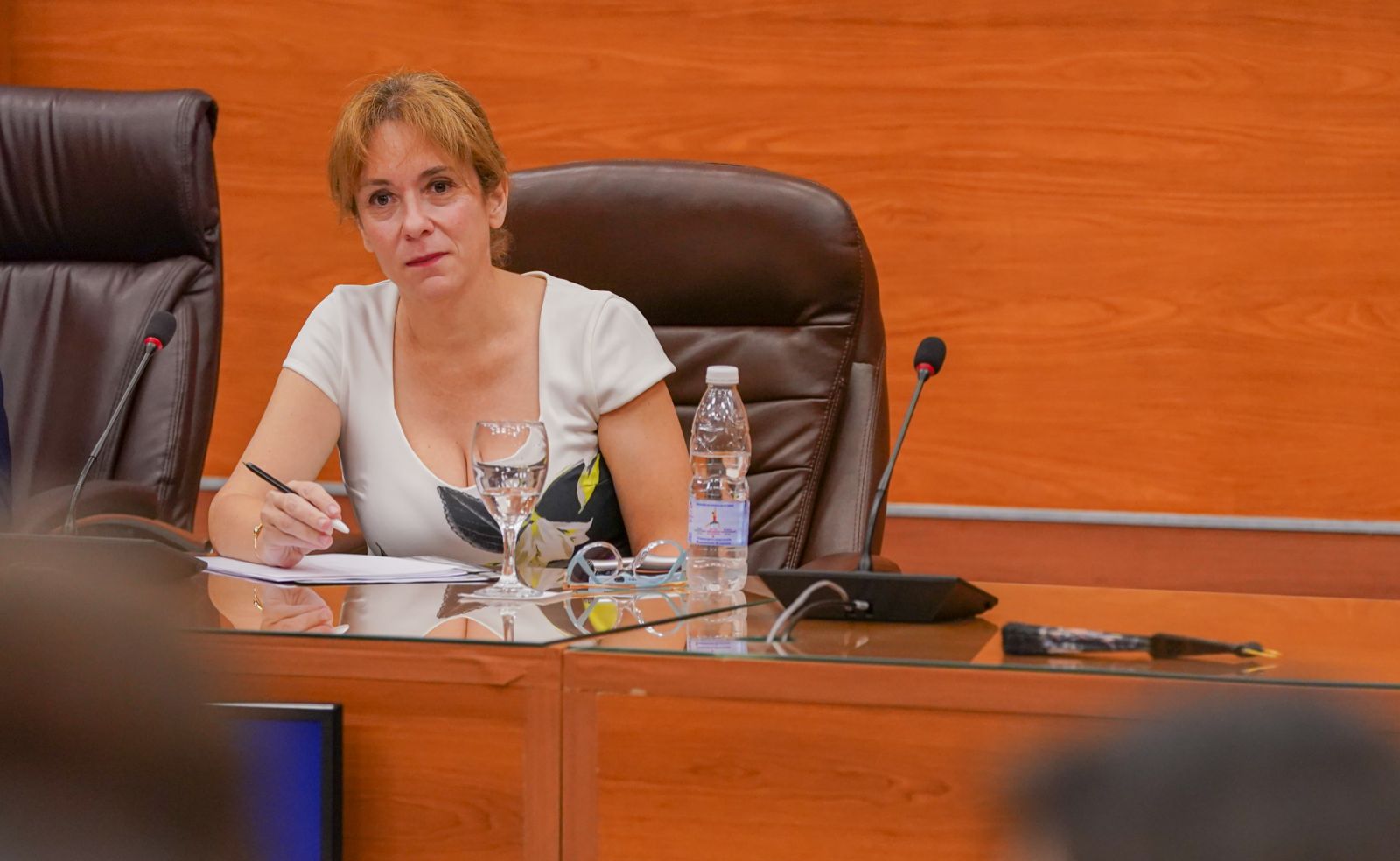 Dra Becerra Consejo Magistratura