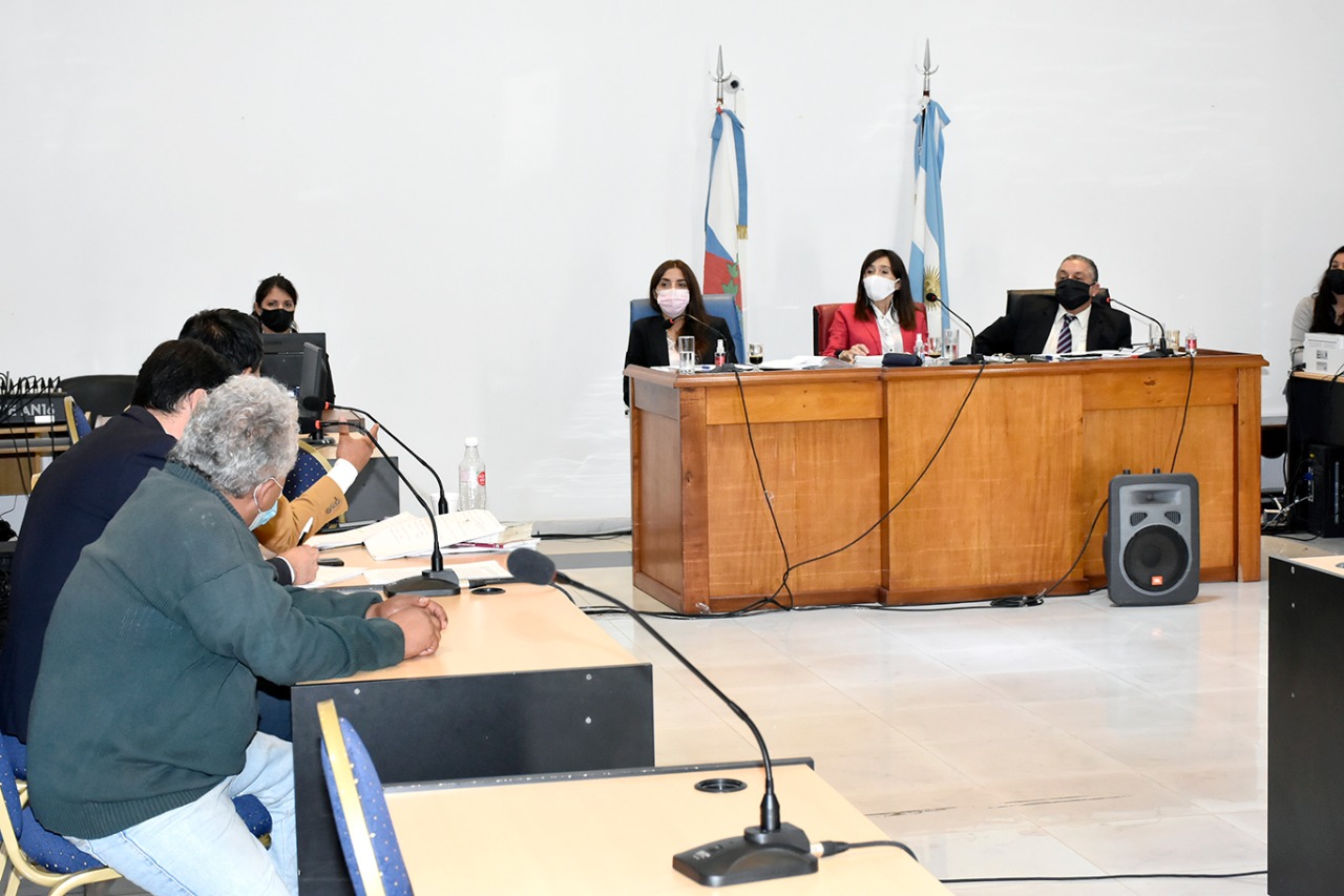 alegatos caso sergio z