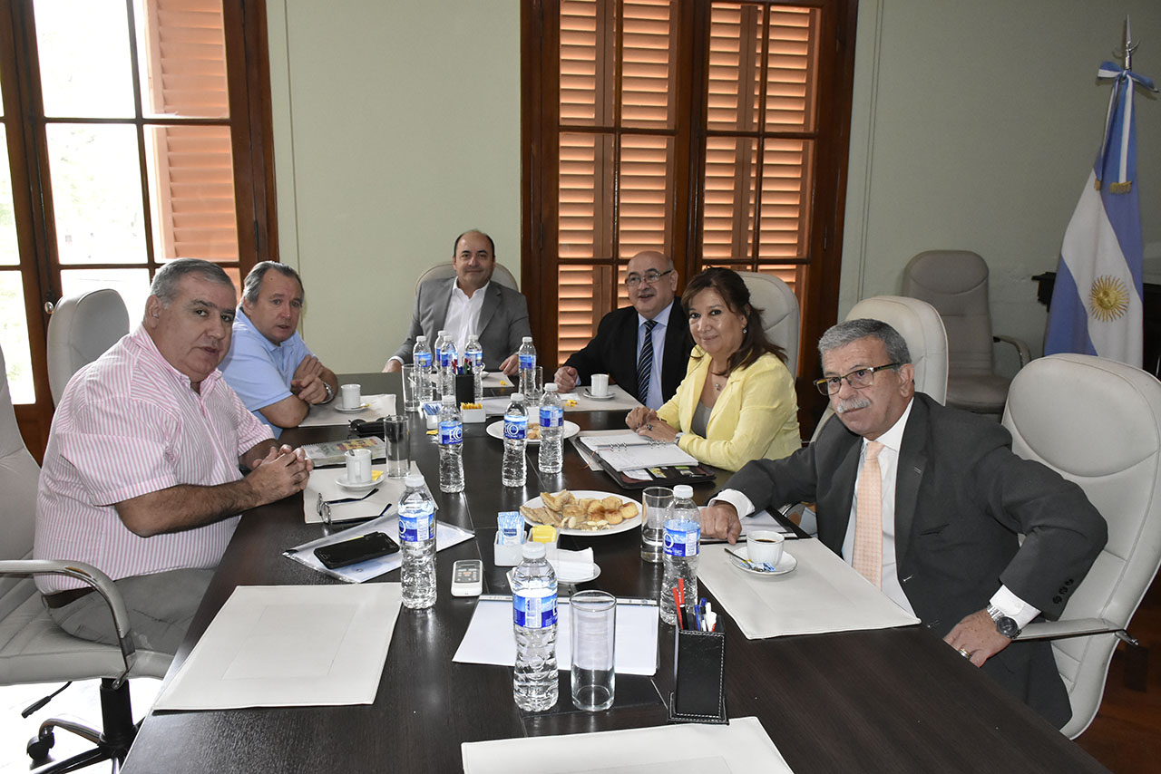 concejo de la magistratura