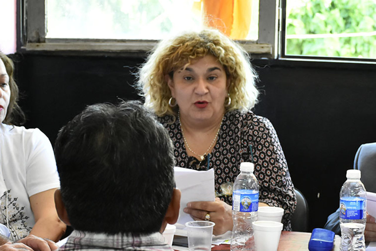 dra virginia illanes bordon