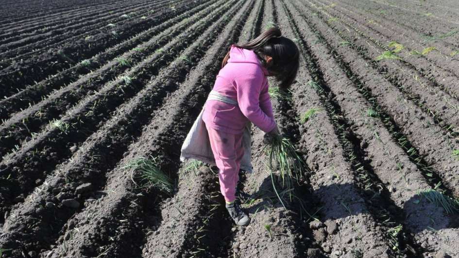 explotacion infantil 2