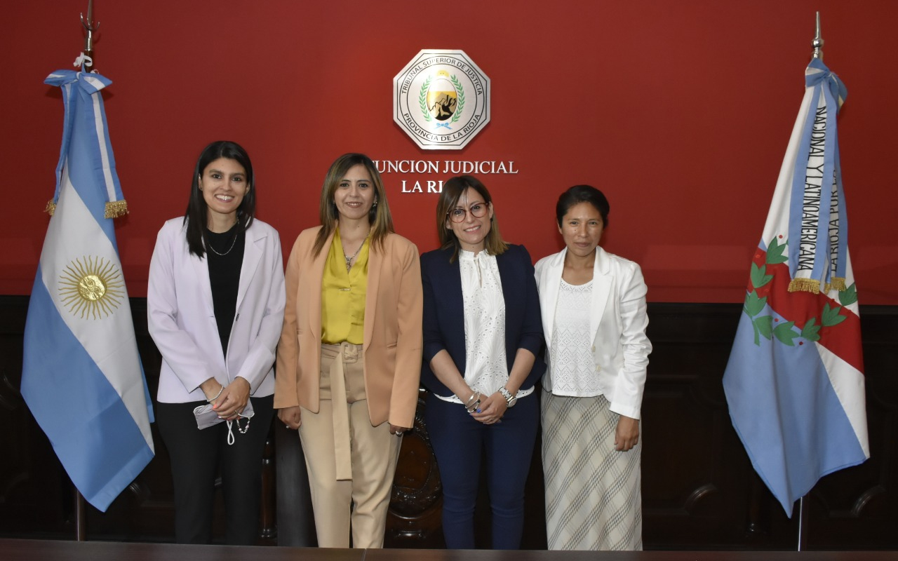 jura de defensoras oficiales