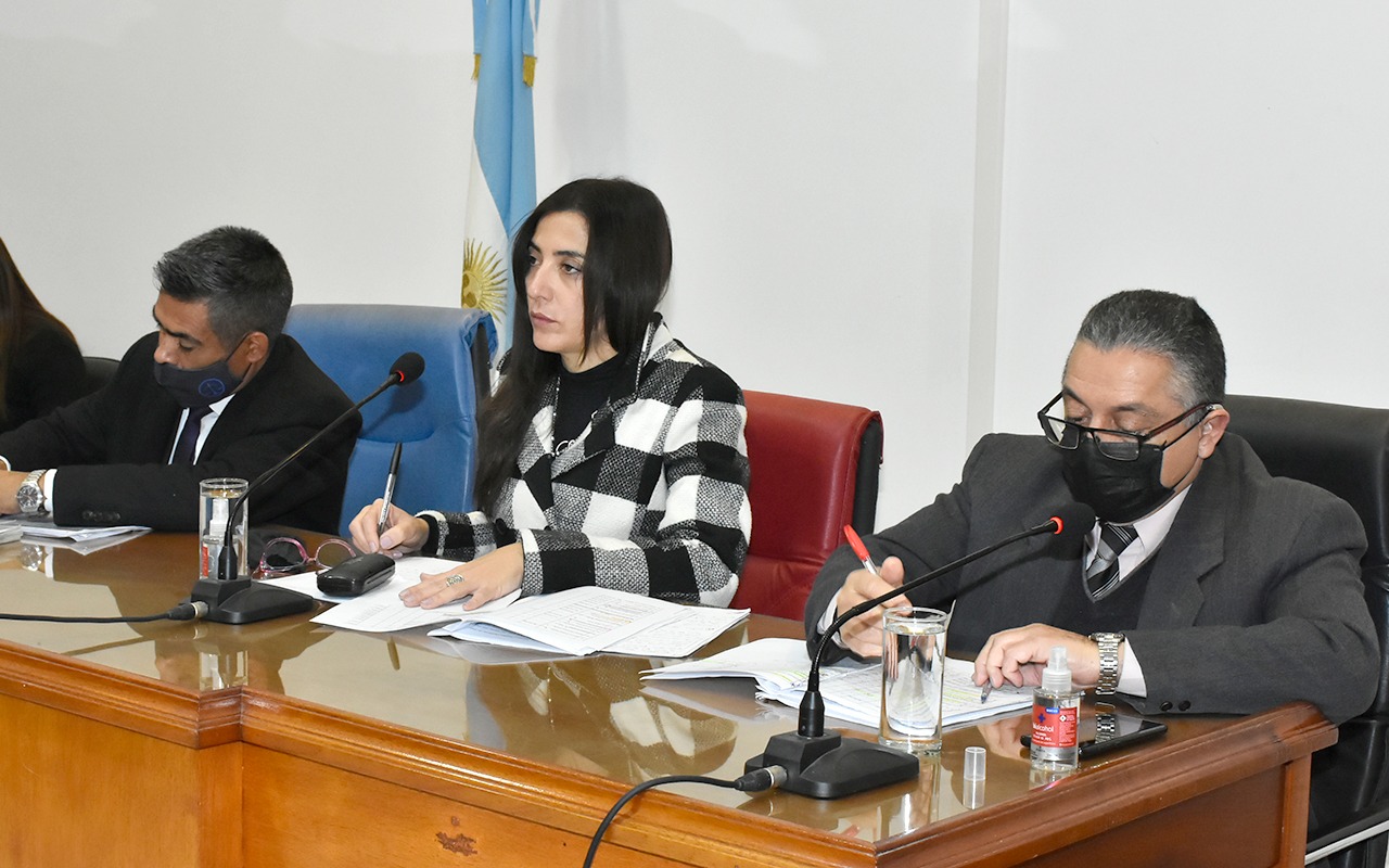 tribunal edith farias y chamia
